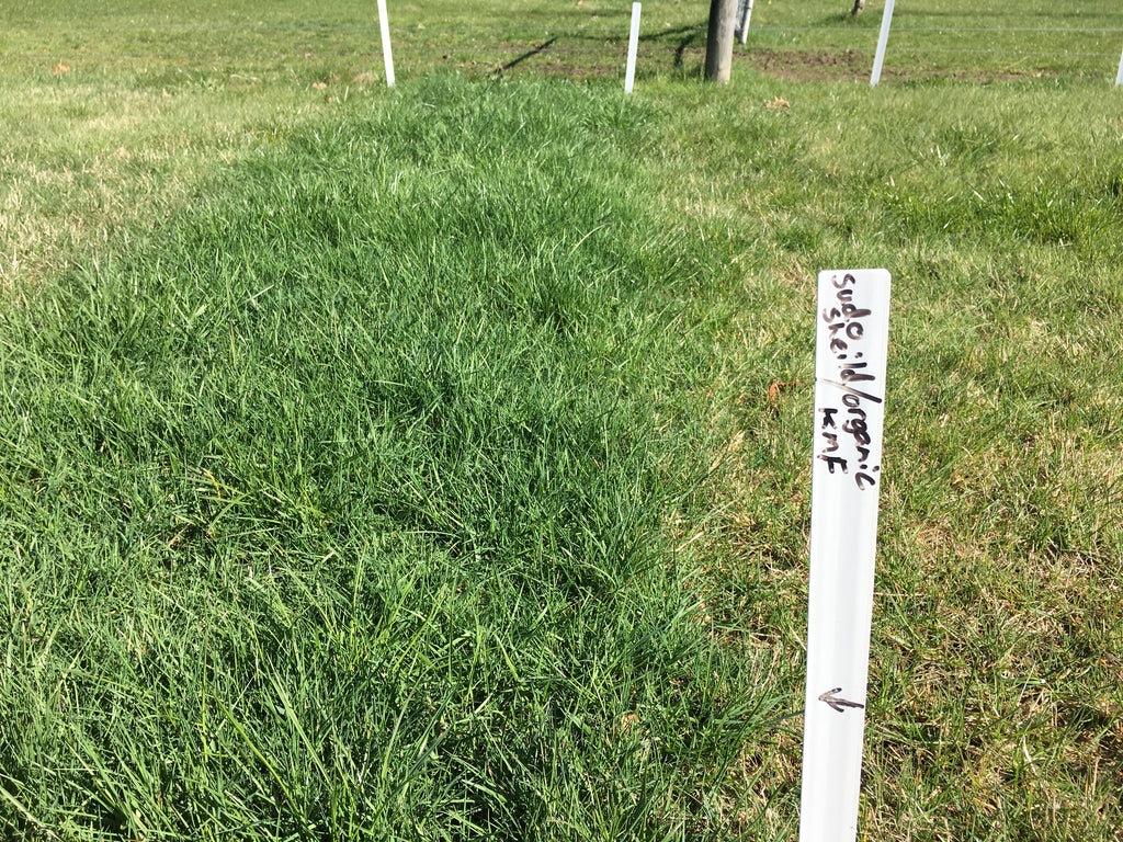 We are all about the solutions