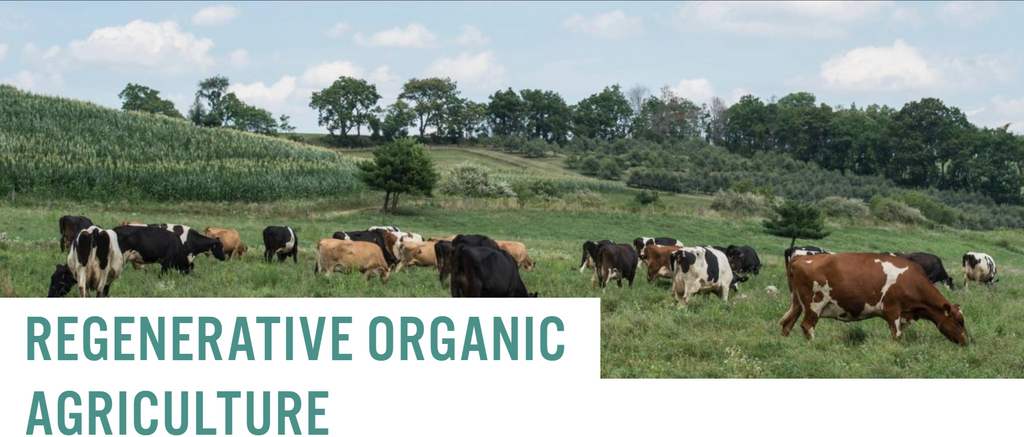 REGENERATIVE ORGANIC AGRICULTURE origin of the concept