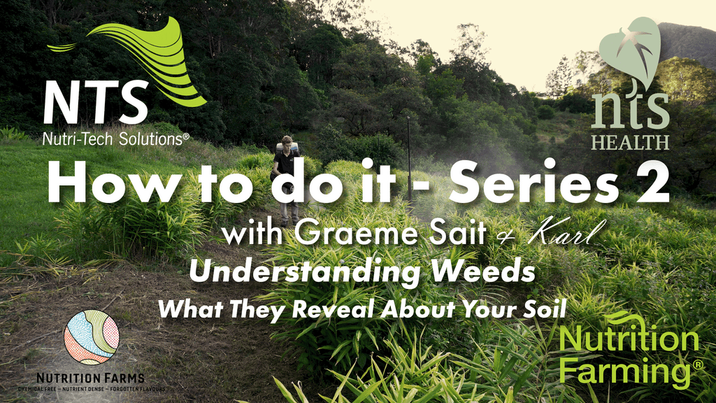 Understanding Weeds