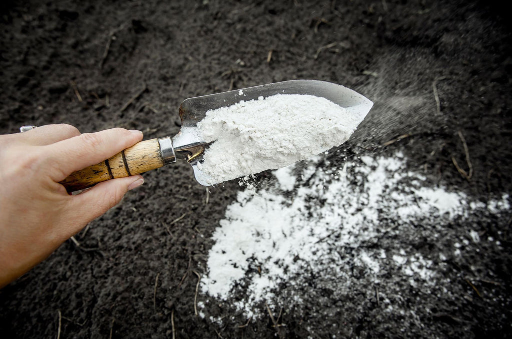 Wrong Organic Matter, Wrong Calcium: How a Carbon Test Writes the Lime Order