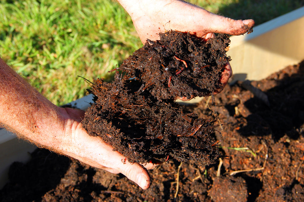 New Study Shows Organic Farming Traps Carbon in Soil to Combat Climate Change