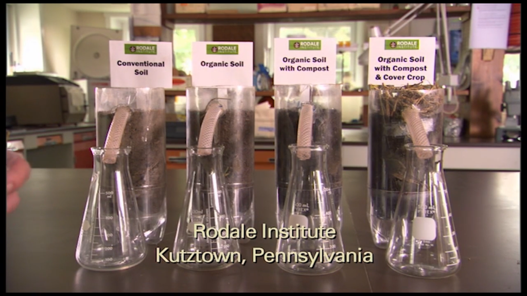 Organic Soil versus Conventionally farmed soils