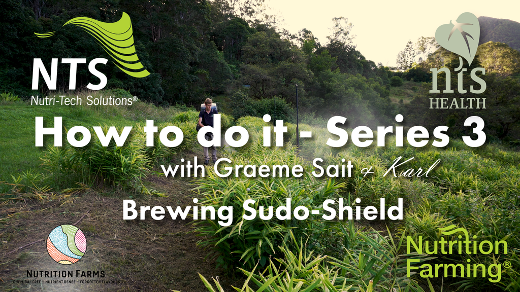 Brewing Sudo-Sheld